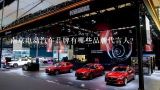 南京电动汽车品牌有哪些品牌代言人?