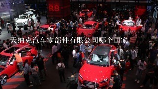 天纳克汽车0部件有限公司哪个国家