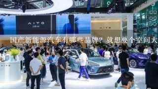 国产新能源汽车有哪些品牌？就想要个空间大的SUV