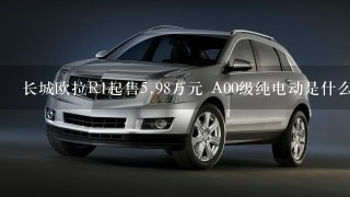 长城欧拉R1起售5.98万元 A00级纯电动是什么水平？