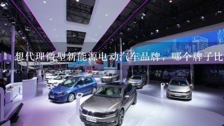 想代理微型新能源电动汽车品牌，哪个牌子比较好？