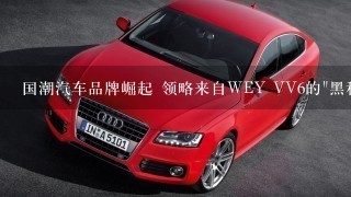 国潮汽车品牌崛起 领略来自WEY VV6的