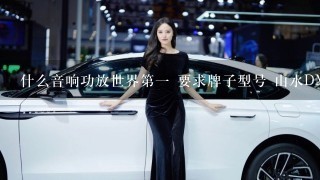 什么音响功放世界第1 要求牌子型号 山水DM10A 怎么样？