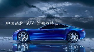 中国品牌 SUV 的哪些特点?