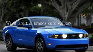 What are the brands core values?